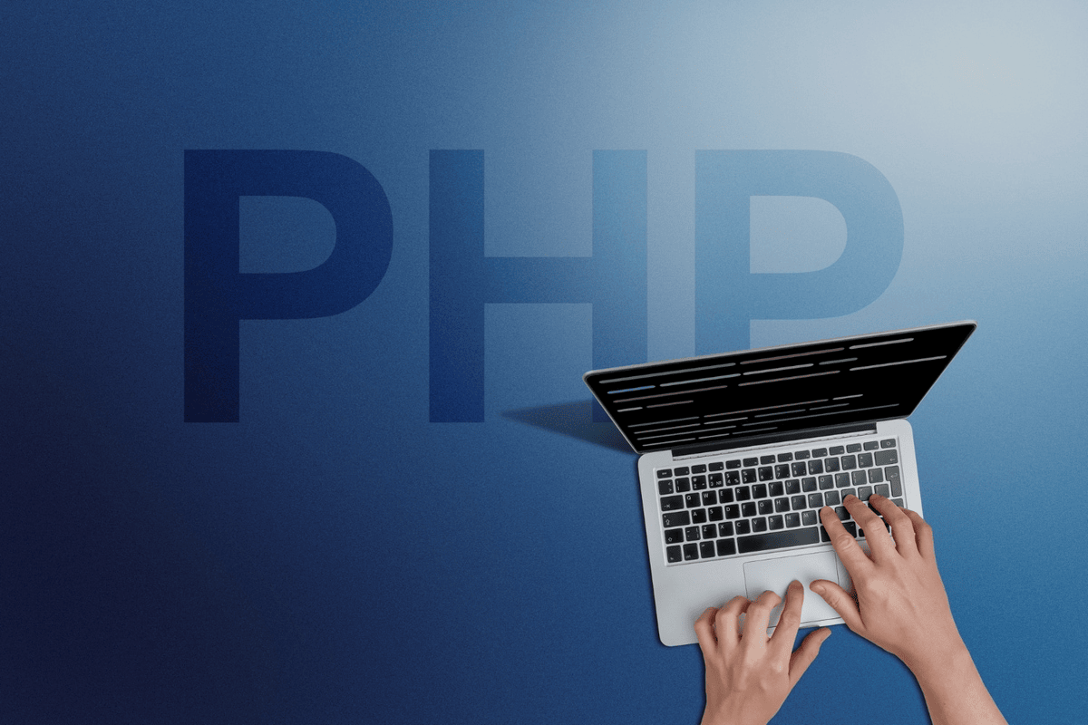 PHP and Laravel for programming - Filio Force development